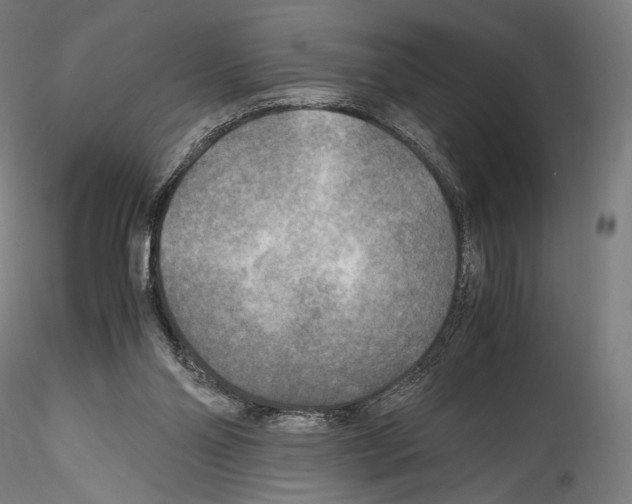 X0000114560110200911301257