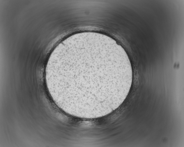 X0000114560111200911301257