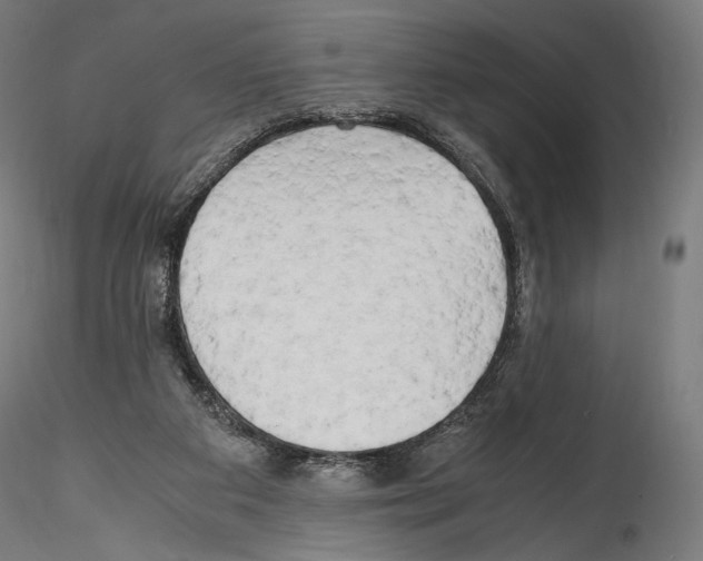 X0000114560113200911301257