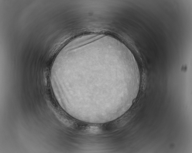 X0000114560114200911301257