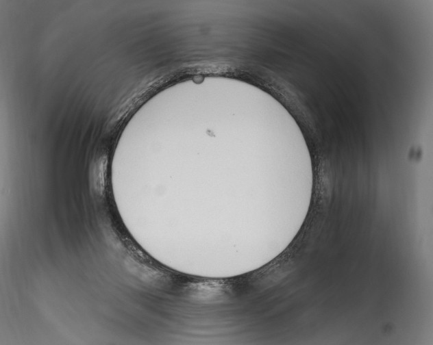 X0000114560118200911301257
