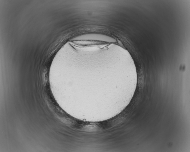 X0000114560119200911301257