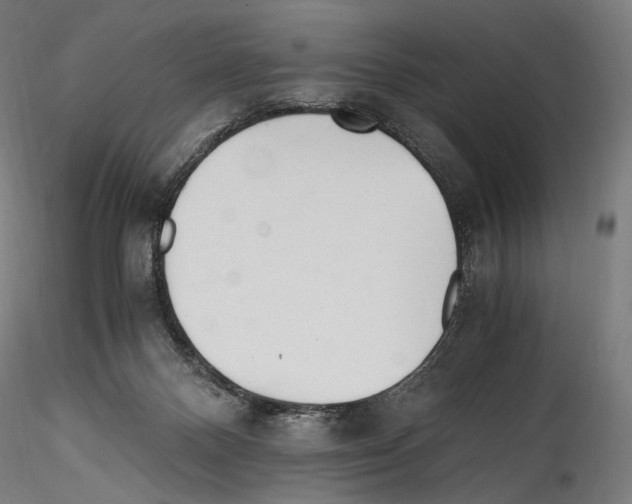 X0000114560120200911301257