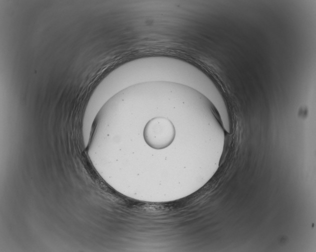 X0000114560121200911301257