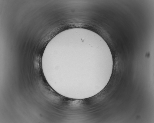 X0000114560122200911301257