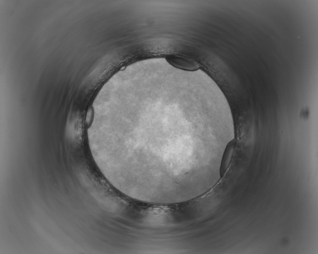 X0000114560124200911301257