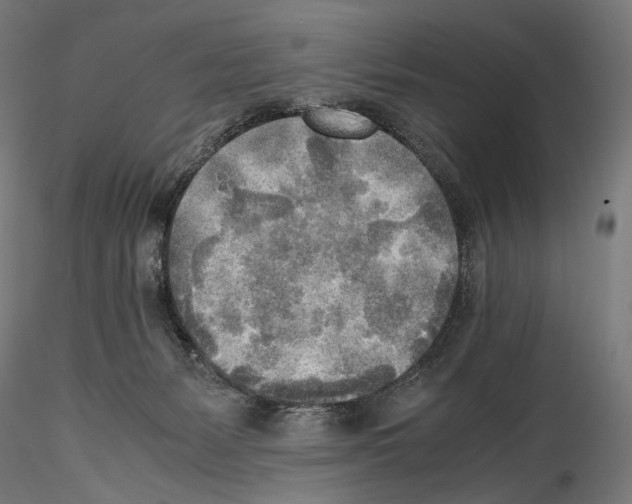 X0000114560127200911301257