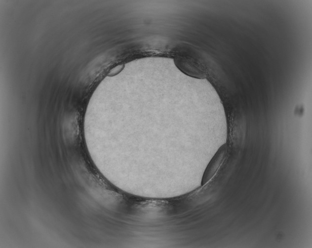 X0000114560128200911301257