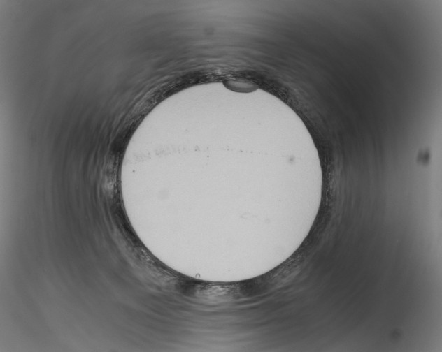 X0000114560129200911301257