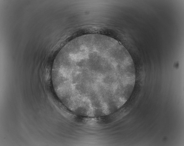 X0000114560131200911301257