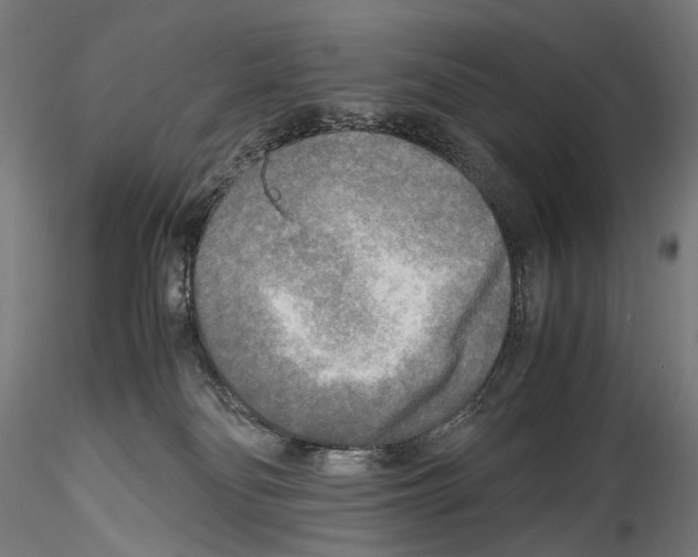 X0000114560134200911301257