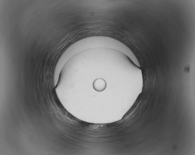 X0000114560136200911301257