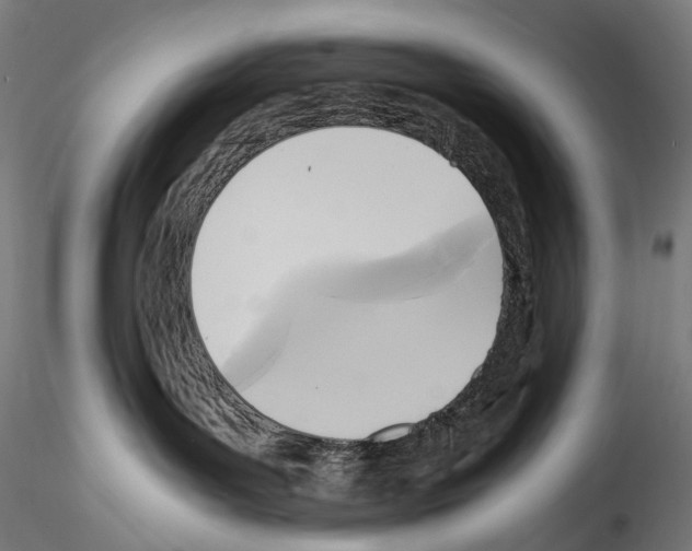 X0000114560143200911301257