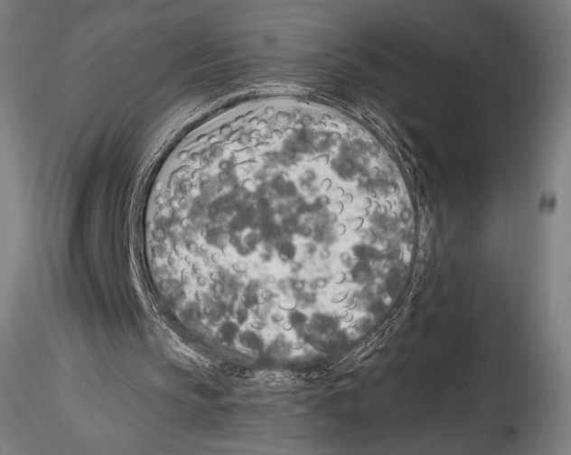 X0000114560145200911301256