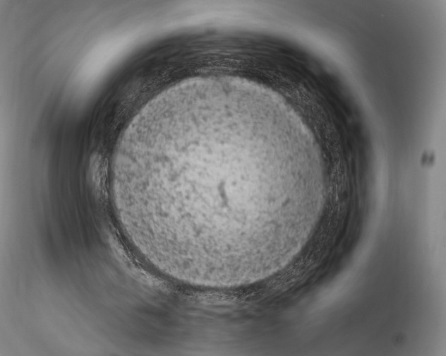 X0000114560146200911301256