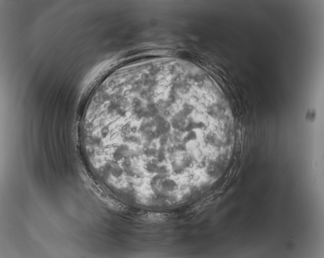 X0000114560149200911301256