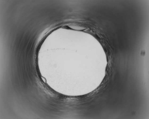 X0000114560150200911301256