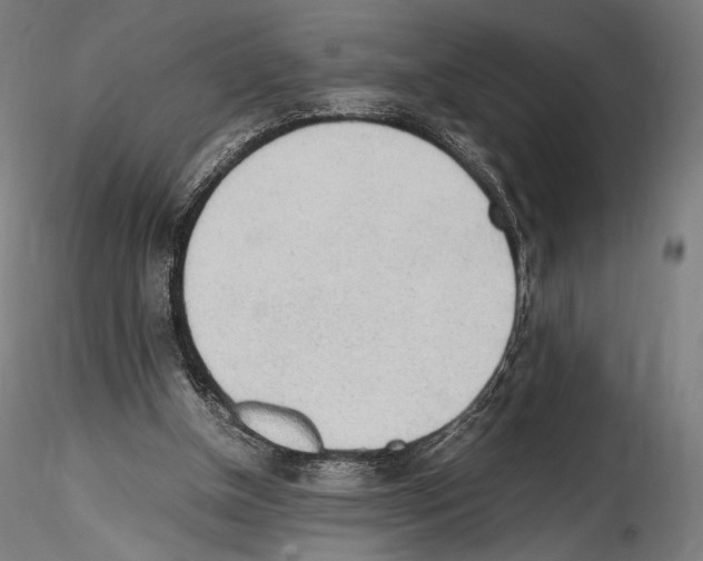 X0000114560154200911301256