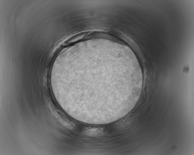 X0000114560155200911301256