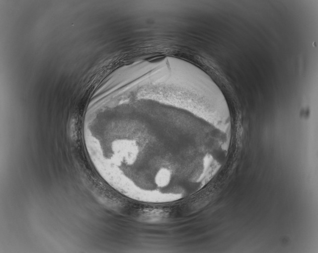 X0000114560161200911301257