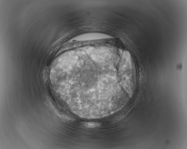 X0000114560165200911301257