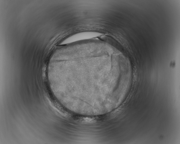 X0000114560166200911301257