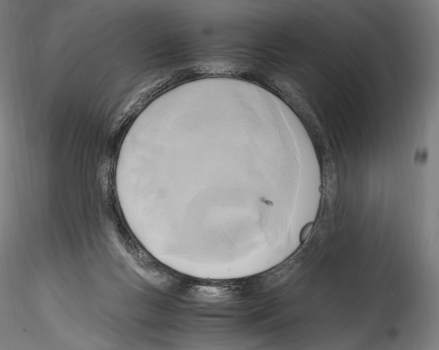 X0000114560167200911301257