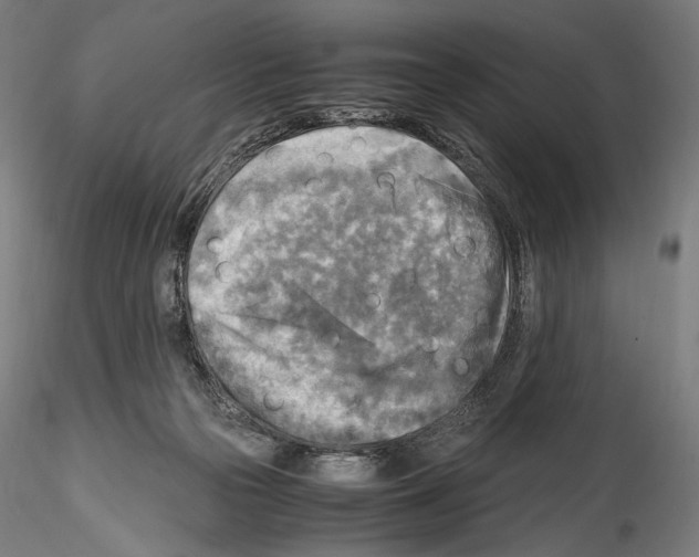 X0000114560169200911301257