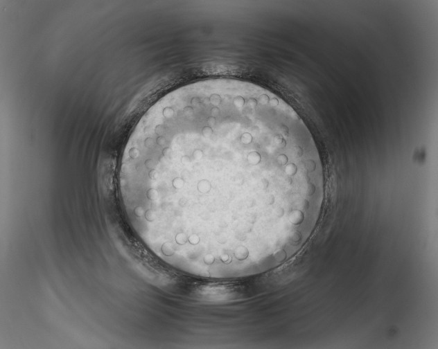 X0000114560171200911301257