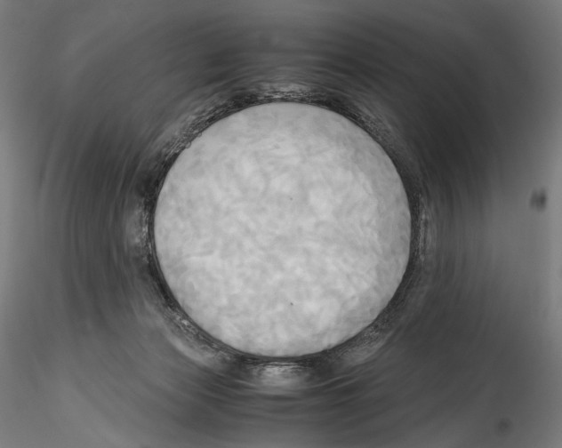 X0000114560173200911301257