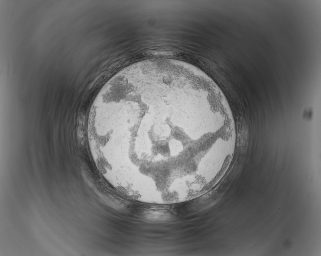 X0000114560175200911301257