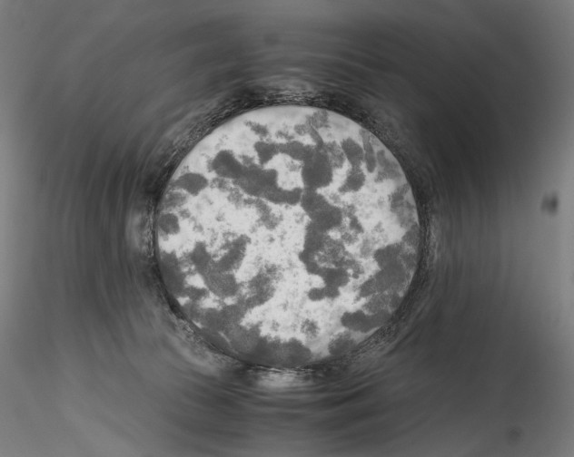 X0000114560177200911301257