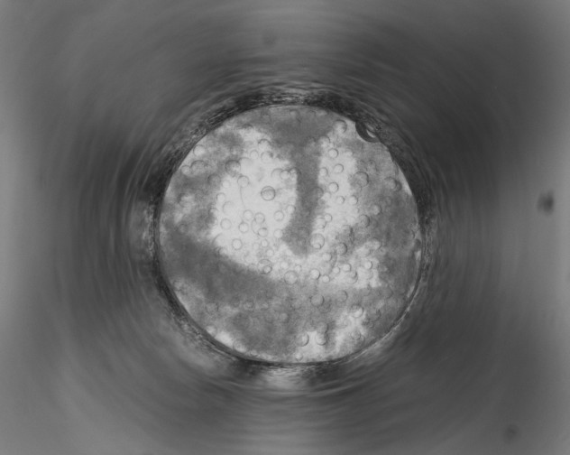 X0000114560178200911301257