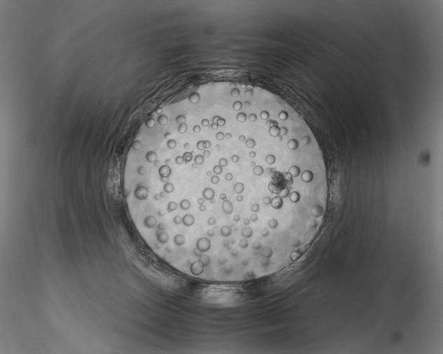 X0000114560179200911301257
