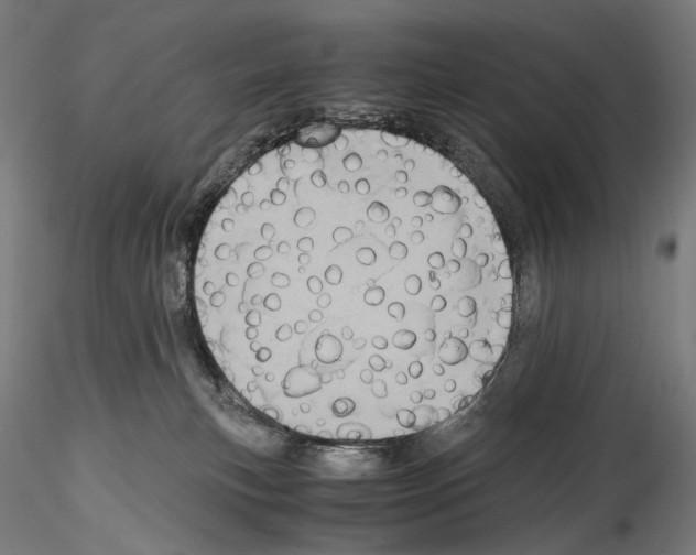 X0000114560183200911301257