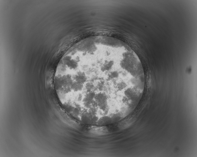 X0000114560185200911301257