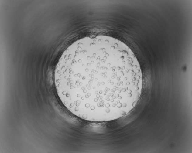 X0000114560187200911301257