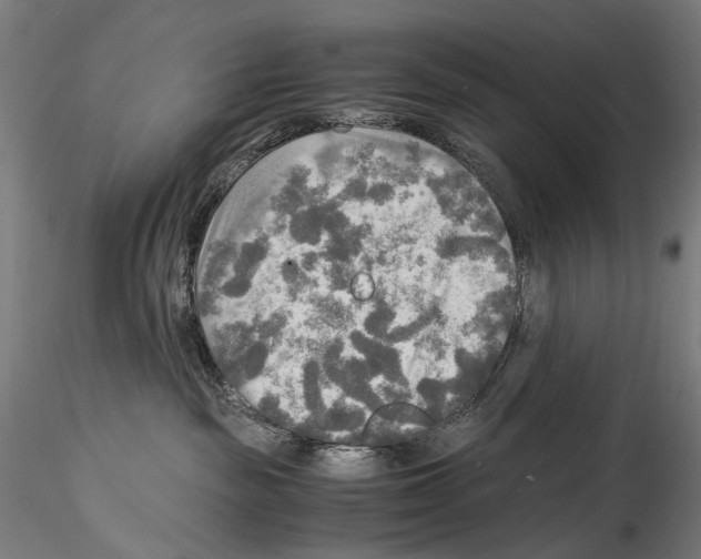 X0000114560189200911301257