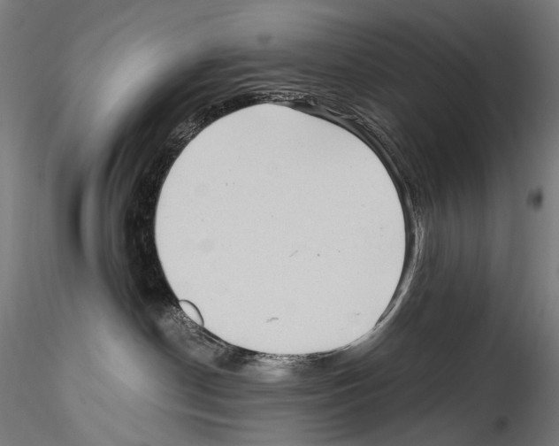 X0000114560190200911301257