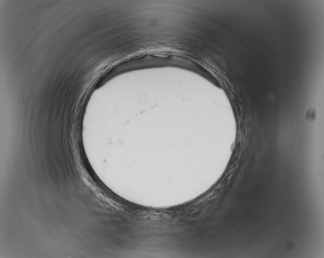 X0000114560193200911301256