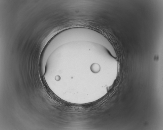 X0000114560195200911301256