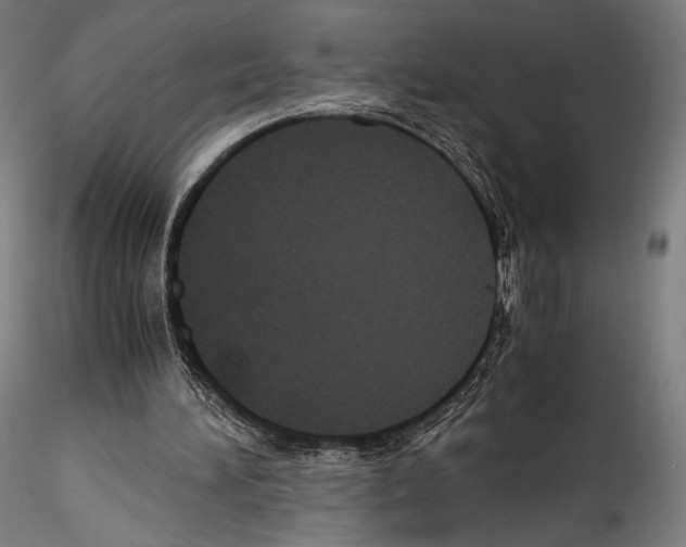 X0000114560196200911301256