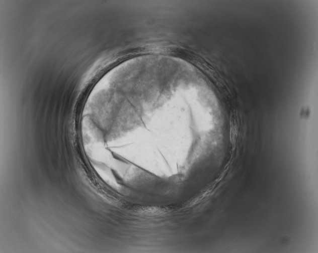 X0000114560198200911301256