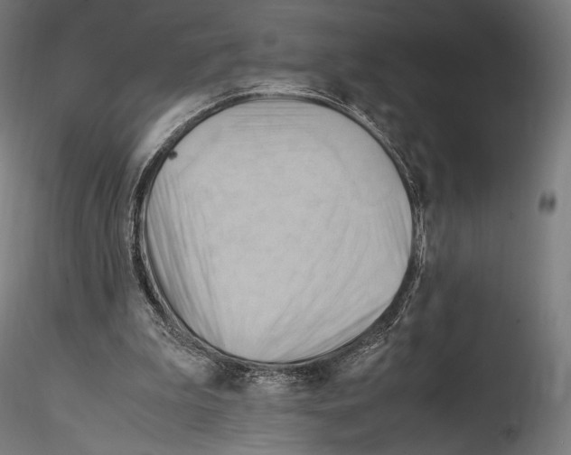 X0000114560199200911301256