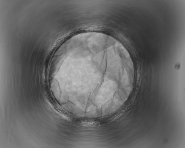 X0000114560202200911301256