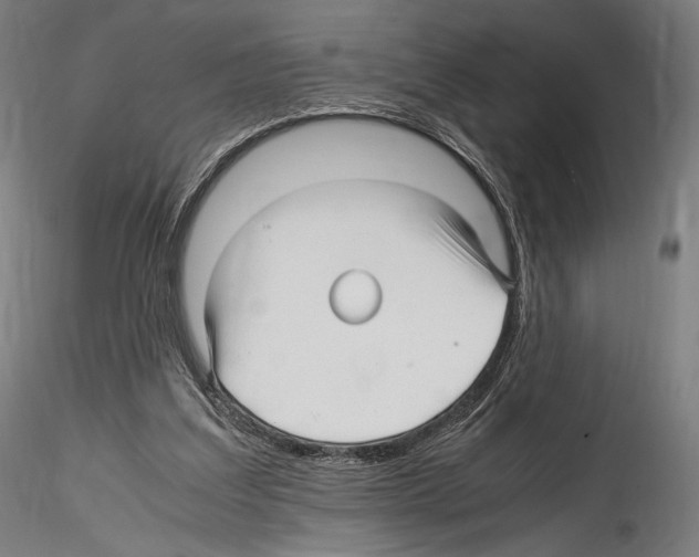 X0000114560203200911301256