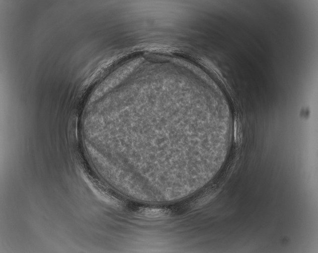 X0000114560205200911301256