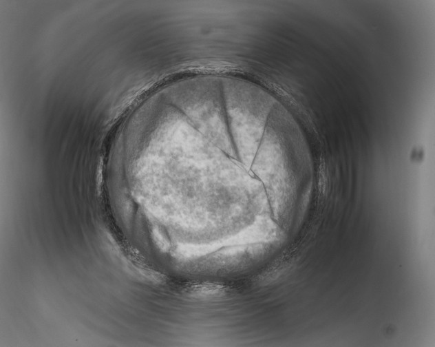 X0000114560206200911301256