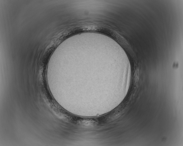 X0000114560209200911301256