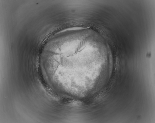 X0000114560210200911301256